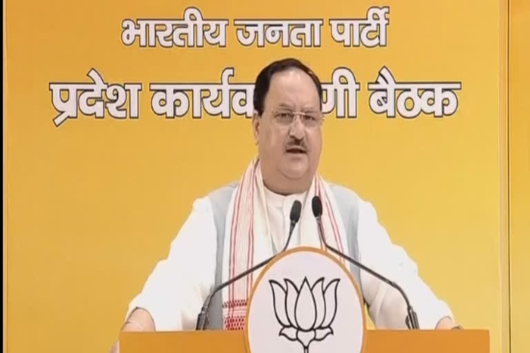 BJP, JD(U), LJP to fight Bihar polls together: Nadda