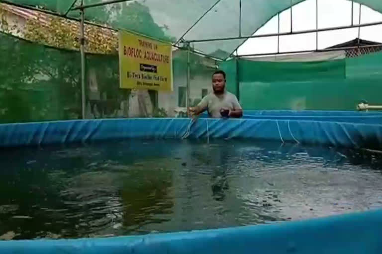 Biofloc fish farming in Sivsagar