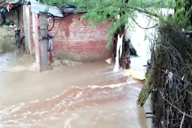 Chaksu rain latest news,  Heavy rains in Chaksu