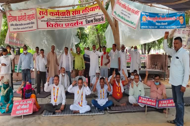 sarv karmchari sangh  protest in bhiwani in absence of pti teachers