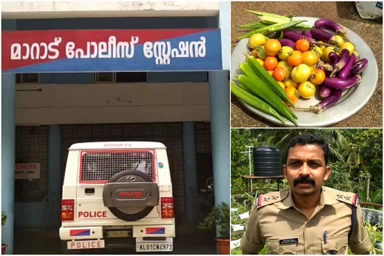 Marad police station  organic farming  മട്ടുപ്പാവ്  ജൈവകൃഷി  മാറാട് പൊലീസ് സ്റ്റേഷന്‍  കോഴിക്കോട്