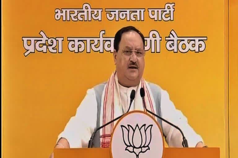 BJP President J P Nadda