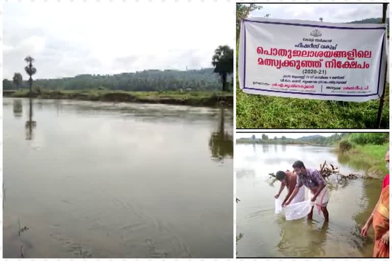 ഫിഷറീസ്‌ വകുപ്പ്‌  മത്സ്യക്കുഞ്ഞ്‌ നിക്ഷേപ പദ്ധതി  പദ്ധതി  പാലക്കാട്  kerala fisheries department  palakkad