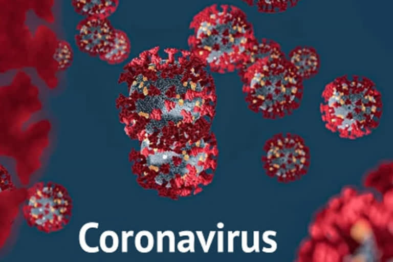 coronavirus positive in solan