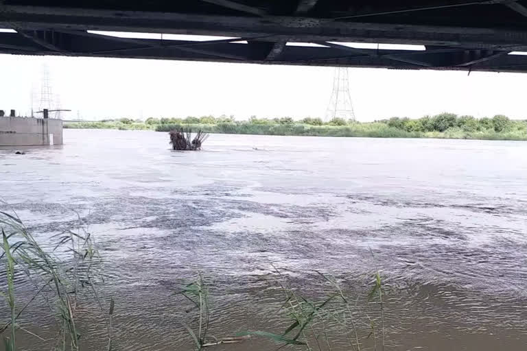 Yamuna River