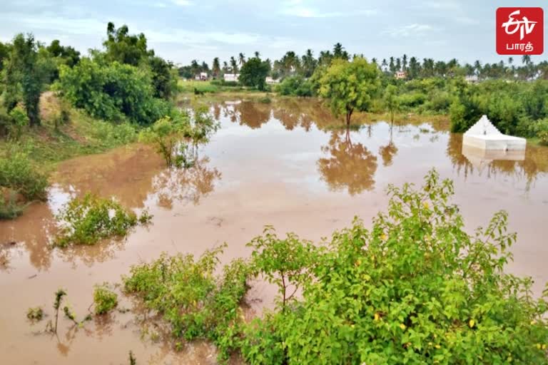 தருமபுரியில் பரவலாக மழை