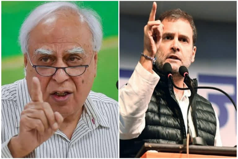 Kapil Sibal hits out at Rahul over 'colluding with BJP' remark