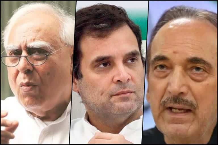 Congress veterans hit out at Rahul over 'colluding with BJP' remark