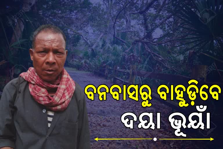 ଅରୁଣାଞ୍ଚଳରୁ ଫେରିବେ ଦୟା ଭୂୟାଁ, ଗଲା ସ୍ବତନ୍ତ୍ର ଟିମ