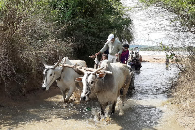 bhupalapally collector