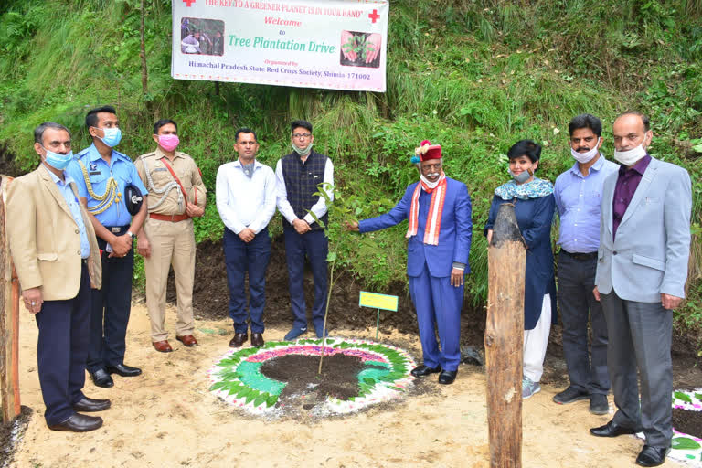 Governor Bandaru Dattatreya planted tree