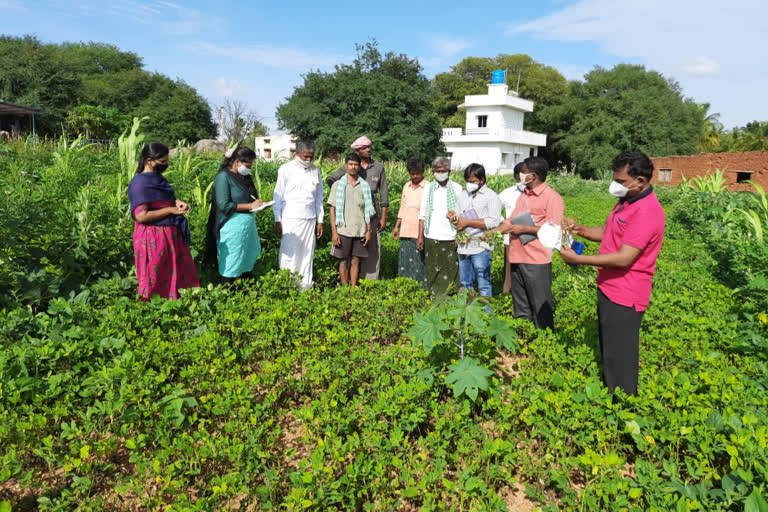 yeruvaka scientist visited madakasira constituency and tested crops