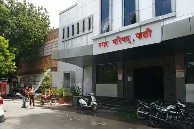 पाली समाचार, pali news