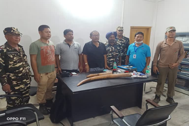 wild elephant tusks recovered By Police At Chirang