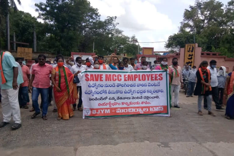 cement workers protested in front of cement factory in manchirial