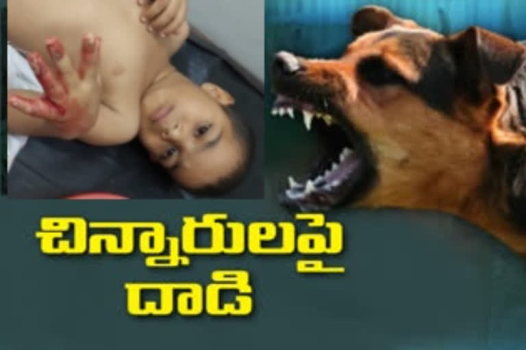 dogs attack on children in hyderabad