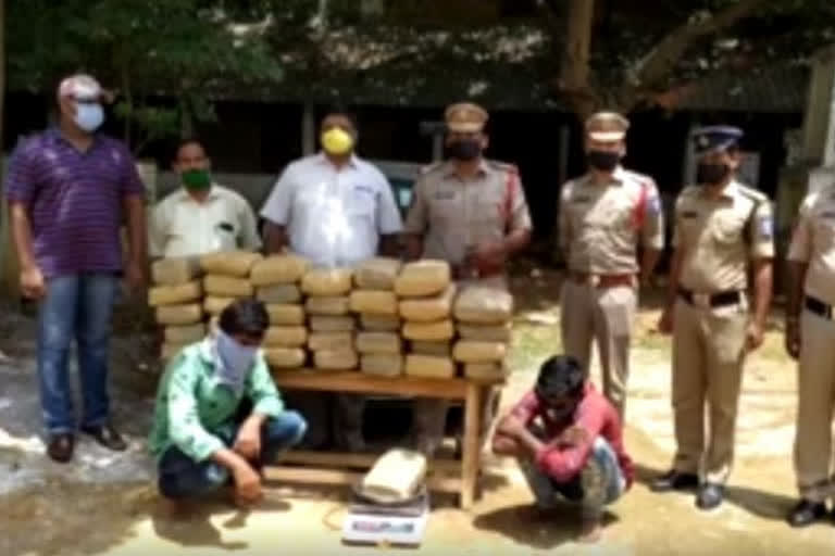 90 kg ganja seized in andhra's krishna district, two detained