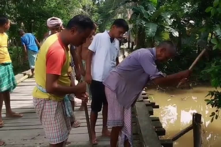 A wooden bridge in Bajali repaired by public