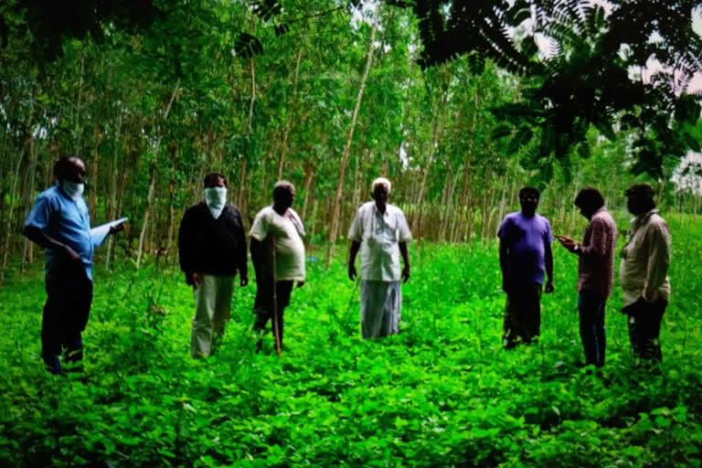 e crop registration process in vizag district