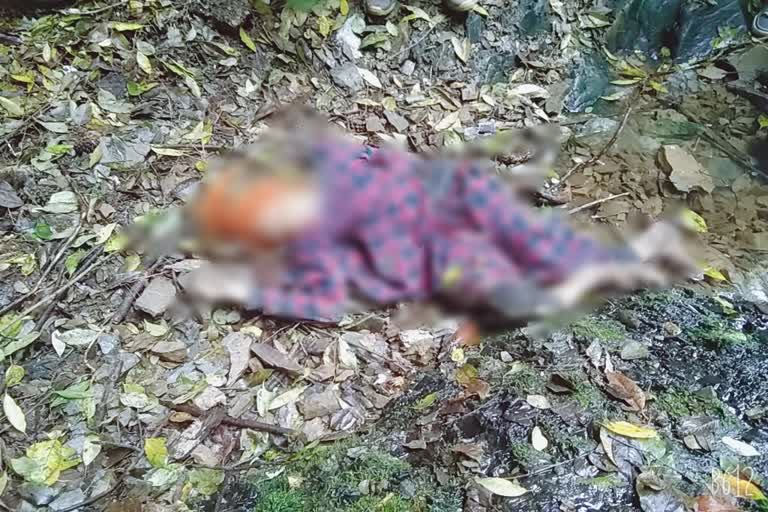 Elderly woman died in Nihari of Sundernagar