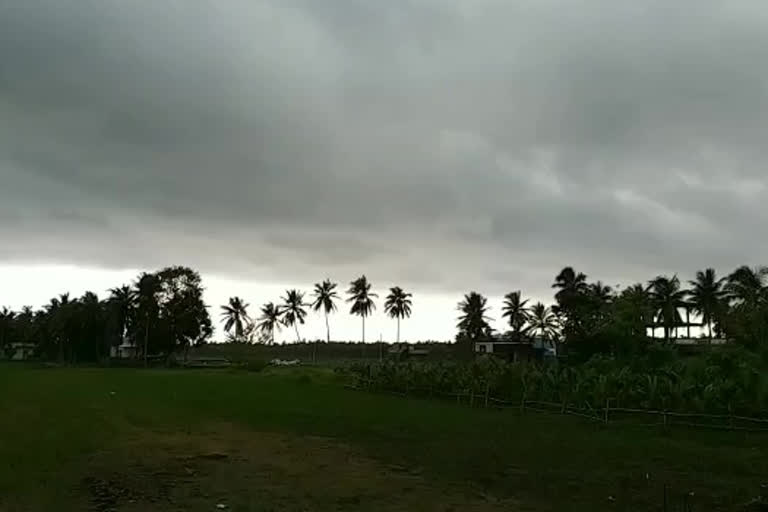 clouds spread around coconut trees in konaseema east godavari district