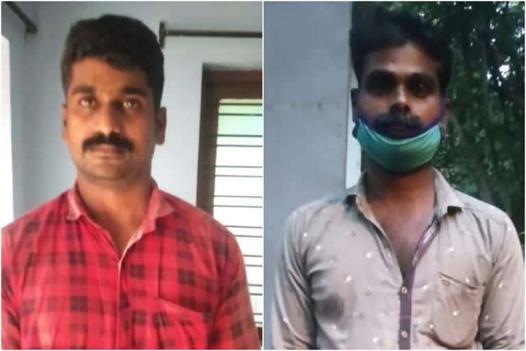 Brothers arrested  liquor  65 liter  65 ലിറ്റർ വിദേശമദ്യം  സഹോദരങ്ങൾ പിടിയിൽ  പാറശ്ശാല പൊഴിയൂര്‍  എടി ഭവനിൽ അനിൽ  നർക്കോട്ടിക്സ്