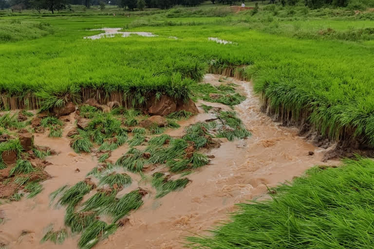 heavy rain in rajpur at balrampur