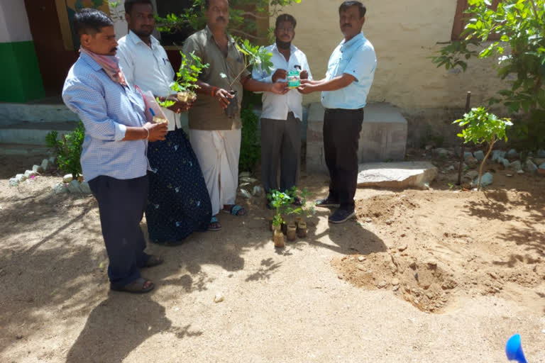 ಸರ್ಕಾರಿ ಶಾಲೆಗಳಲ್ಲಿ ಕಿಚನ್ ಗಾರ್ಡ್ ನಿರ್ಮಾಣ