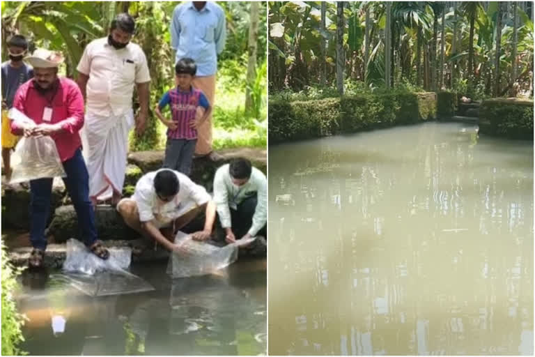 Mukkam  മുക്കത്ത് ജനകീയ മൽസ്യകൃഷിക്ക് തുടക്കമായി  latest kozhikode