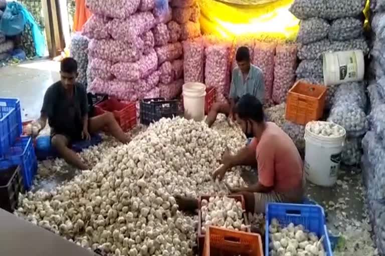 Garlic storage center will open in Sirmaur