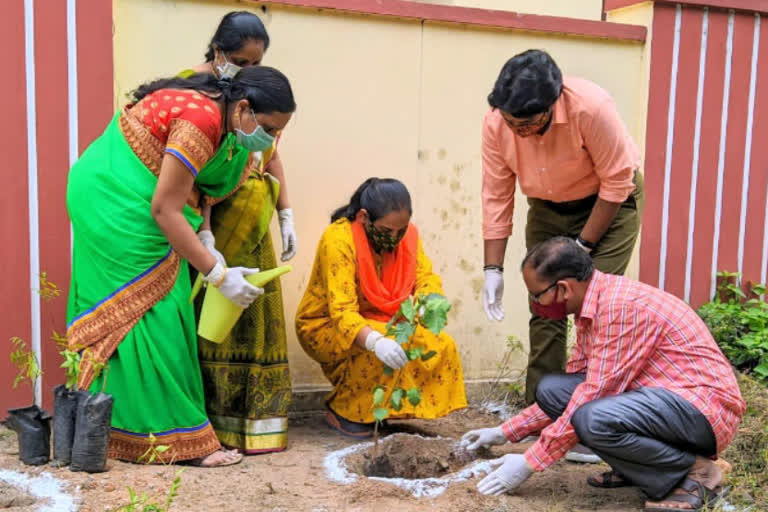 green-india-challenge-in-sri-chaitanya-school-at-west-marredpally-secunderabad