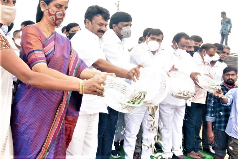 ministers-sabitha-and-talasani-srinivas-yadav-tour-in-parigi-at-vikarabad-district