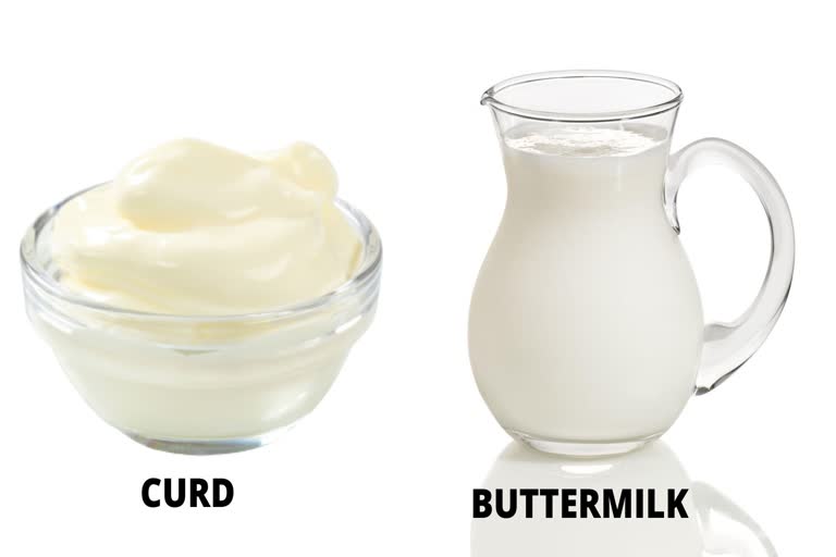 Curd for heath, Butter milk for health, Dairy products for health