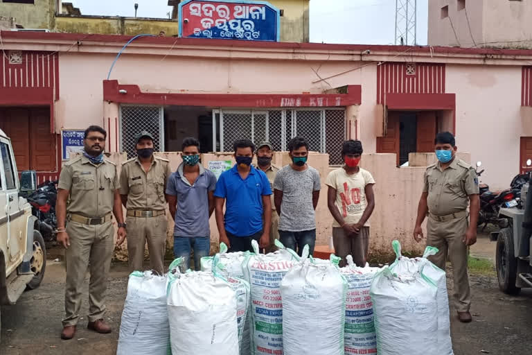 337 kg of cannabis was seized from Patraput Bridge