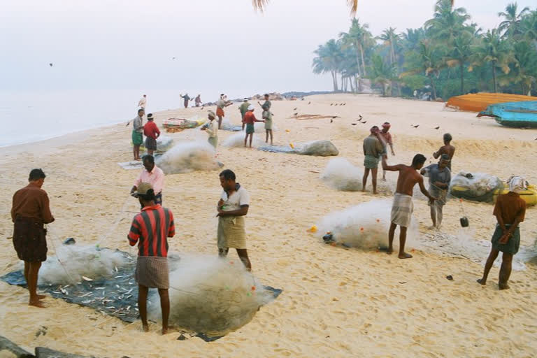 VALIYAZHEEKKAL  FISHING TIME  വലിയഴീക്കൽ ഫിഷ് ലാൻഡിംഗ് സെന്‍റര്‍  പ്രവർത്തന സമയം ദീർഘിപ്പിച്ചു