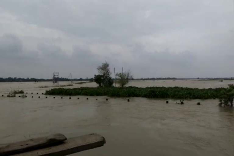 farmer died in flood water, farmer death, kendrapara latest news, farmer death in kendrapara, kendrapara flood update, ନଦୀ ଜଳରେ ବୁଡି ଚାଷୀ ମୃତ, ଚାଷୀ ମୃତ୍ୟୁ, କେନ୍ଦ୍ରାପଡା ଲାଟେଷ୍ଟ ନ୍ୟୁଜ୍‌, କେନ୍ଦ୍ରାପଡାରେ ଚାଷୀ ମୃତ୍ୟୁ, କେନ୍ଦ୍ରାପଡାରେ ବନ୍ୟା ଅପଡେଟ