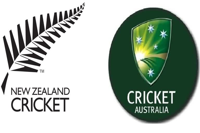 New Zealand vs Australia