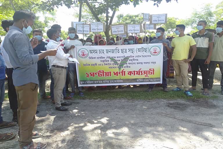 বিহালীত চাহ শ্ৰমিকৰ সমস্যা সমাধান দাবীত আটছাৰ প্ৰতিবাদ