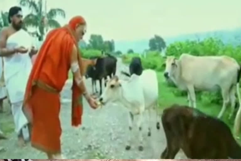 visakha-sri-sharda-petadhpathi-continuing-chaturmasya-deeksha-in-rishikesh