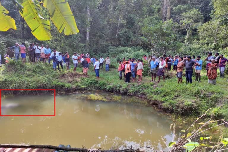 body of a young man found in a lake near the house‘