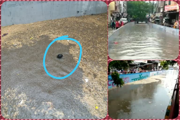 13 yrs old child drowned in waterlogging near Gaushala under pass in Ghaziabad