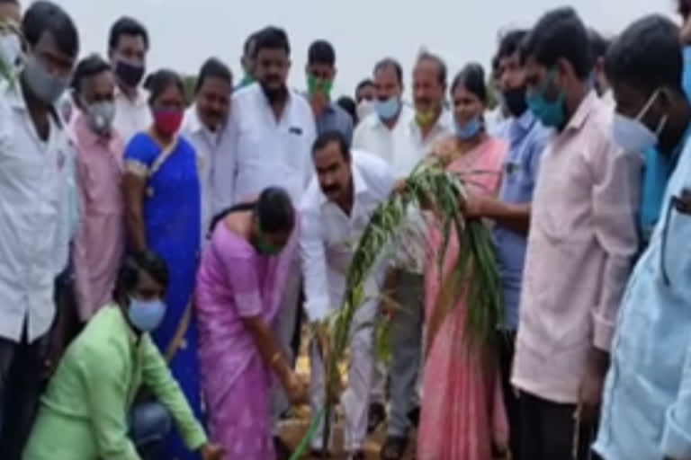 ప్రకృతి వనంతో ఆహ్లాదకరమైన వాతావరణం: బొల్లం మల్లయ్య