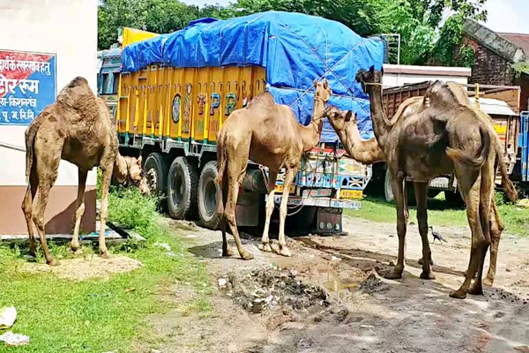 किशनगंज