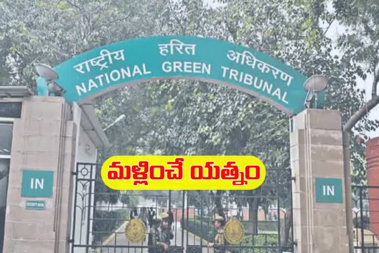 Telangana arguing in NGT over Rayalaseema allegations