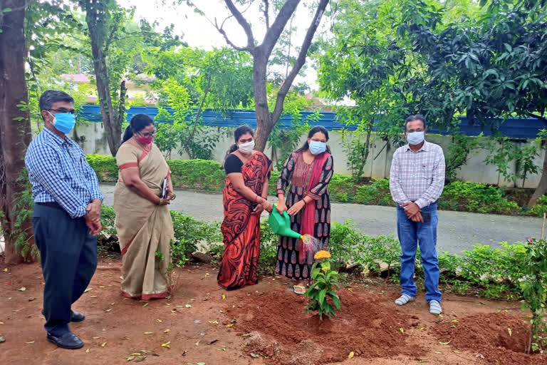 గ్రీన్ ఛాలెంజ్‌ను స్వీకరించిన జనగామ కలెక్టర్‌