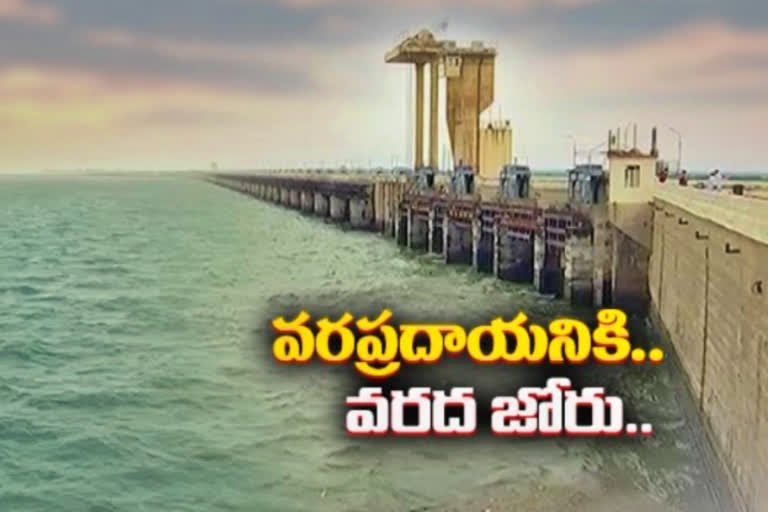 Ongoing flood flow into the Sriramsagar project