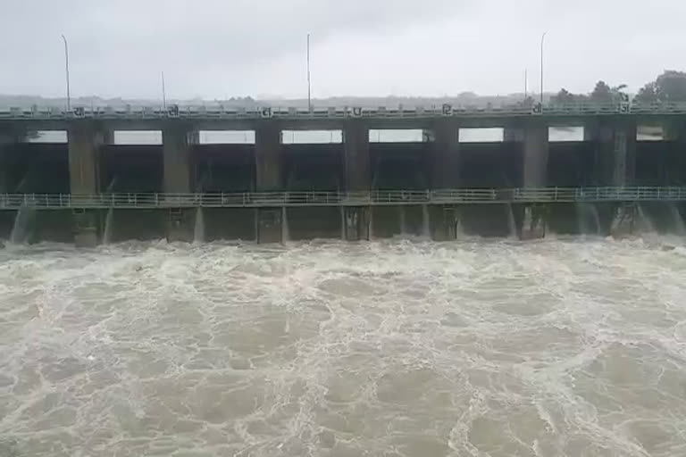 bhadbhada-and-kaliyasot-dam-opened-gates-in-bhopal