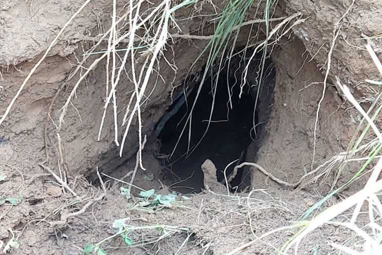 BSF detects tunnel along India-Pak border in Jammu