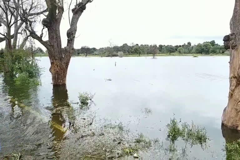 Water on roads after dam's goat opened