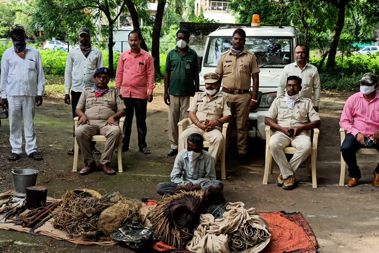 Solapur Forest department action against those who sell meat by hunting antelope deer